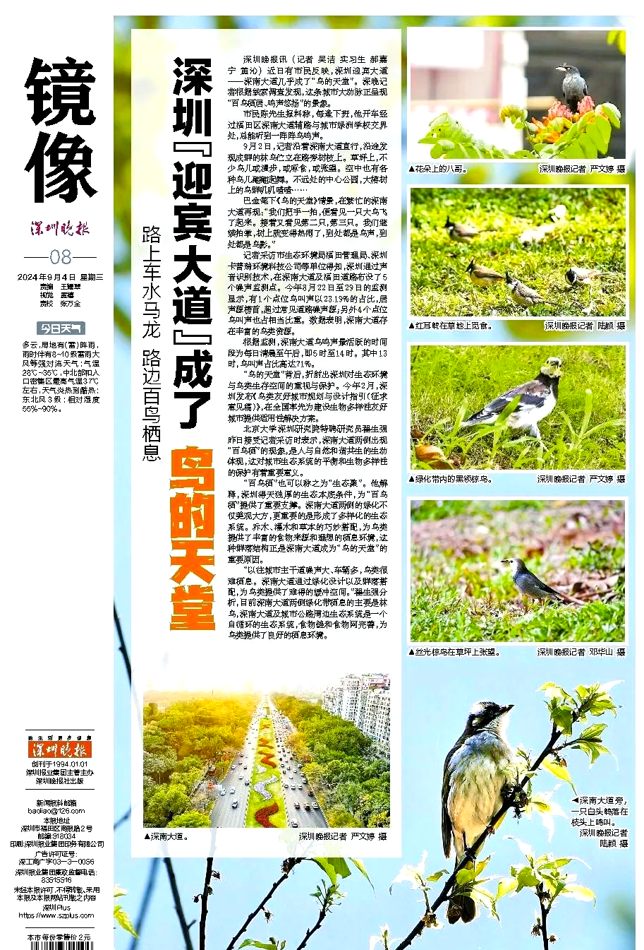 白鸟栖息1.png