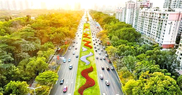 百鸟栖息，深南大道.png